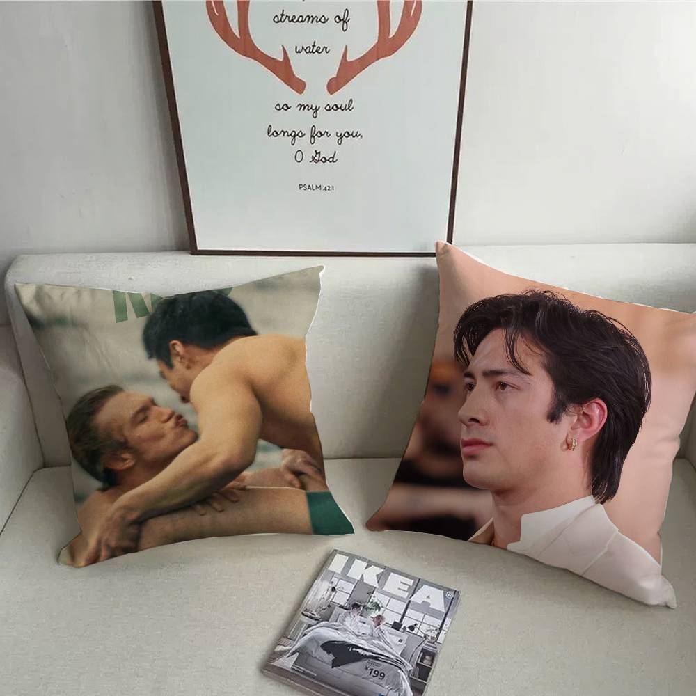 ปลอกหมอนอิงลายทีวียอดนิยม 1 ชิ - Pillow Cover Sublimation บทวิจารณ์และราคา